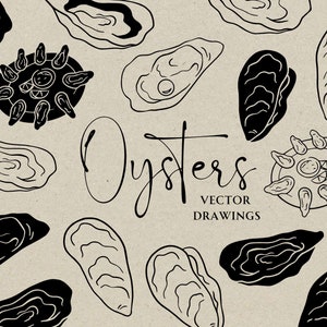 May include: Black and white line art illustrations of oysters. The illustrations include single oysters, clusters of oysters, and oysters on a plate. The text "Oysters Vector Drawings" is included in the image.