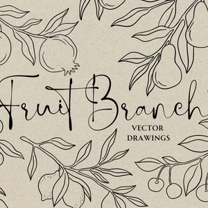 Icona ramo di frutta SVG PNG, linea artistica illustrata, invito nuziale stravagante, download digitale istantaneo Wall Art, pera melograno ciliegia