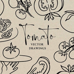 Arte de tomate desenhada à mão SVG PNG, clipart de tomate caprichoso, doodle de convite para chá de panela, ícone de convite para jantar de ensaio DIY, comida italiana