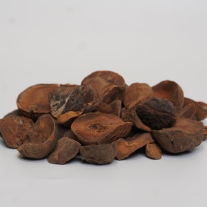 Natural Kola Nuts | Cola Nuts | Cuts | Dried | Cola Nut Seeds - Cola Acuminata| Tea | Herbs | Zero Additives