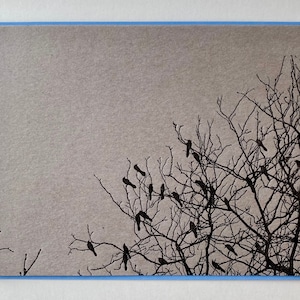 Essaim de merle dans la carte simple de presse-lettres d’arbre de novembre nue