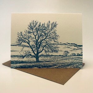 Paquet de 5 cartes pour lettres typographiques Arbre de petit peuplier