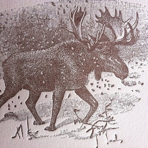 5-pack Christmas Moose letterpress cards image 2