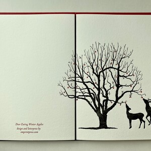 Deer Eating Winter Apples set of 5 folded letterpress cards image 4