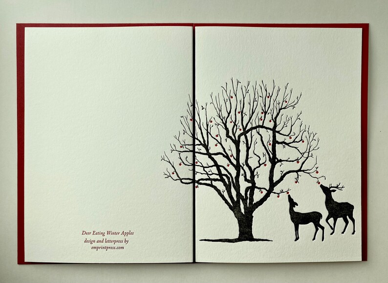 Deer Eating Winter Apples set of 5 folded letterpress cards image 4