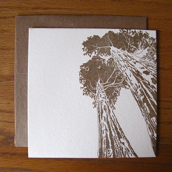 5-pack Redwoods letterpress flat cream notecards