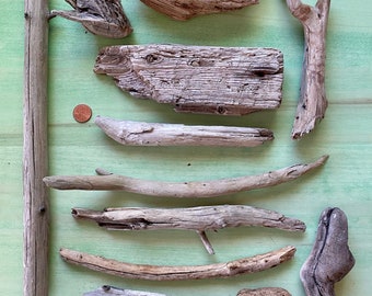 Maine driftwood sculpted by the waters in the beautiful Maine lakes. 111