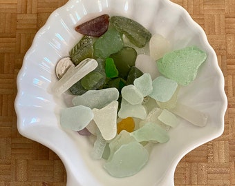 Maine Sea Glass Seaglass Mixed Colors Over 50 Pieces with Shell Shaped Bowl Authentic Foraged Beachglass Real Geniune Bowl Included