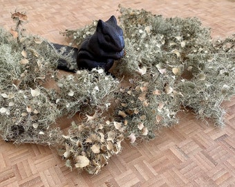 May include: A black cast iron squirrel doorstop surrounded by a bed of dried, light green and beige reindeer moss.