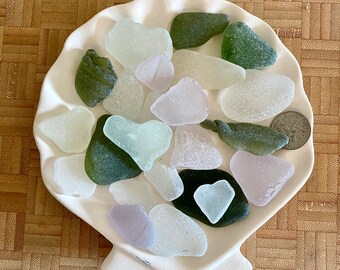 Maine Sea Glass Seaglass Mixed Colors 23 Pieces and Shell Plate Authentic Foraged Beachglass Real Seaglass