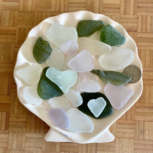 Maine Sea Glass Seaglass Mixed Colors 23 Pieces and Shell Plate Authentic Foraged Beachglass Real Seaglass