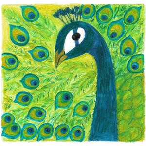 Conjunto de cartões artesanais de pavão, cartões de papel reciclado, conjunto de 5