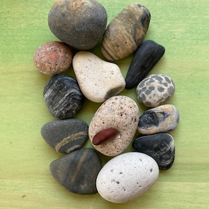 May include: A white ceramic mug with a black handle and the text "But First, Coffee" in a black, bold font. The mug is sitting on a wooden surface. The mug is approximately 4 inches tall.