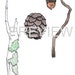 Printable: Leafies I - Lichen, Pinecone, Acorn