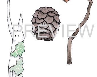 Printable: Leafies I - Lichen, Pinecone, Acorn