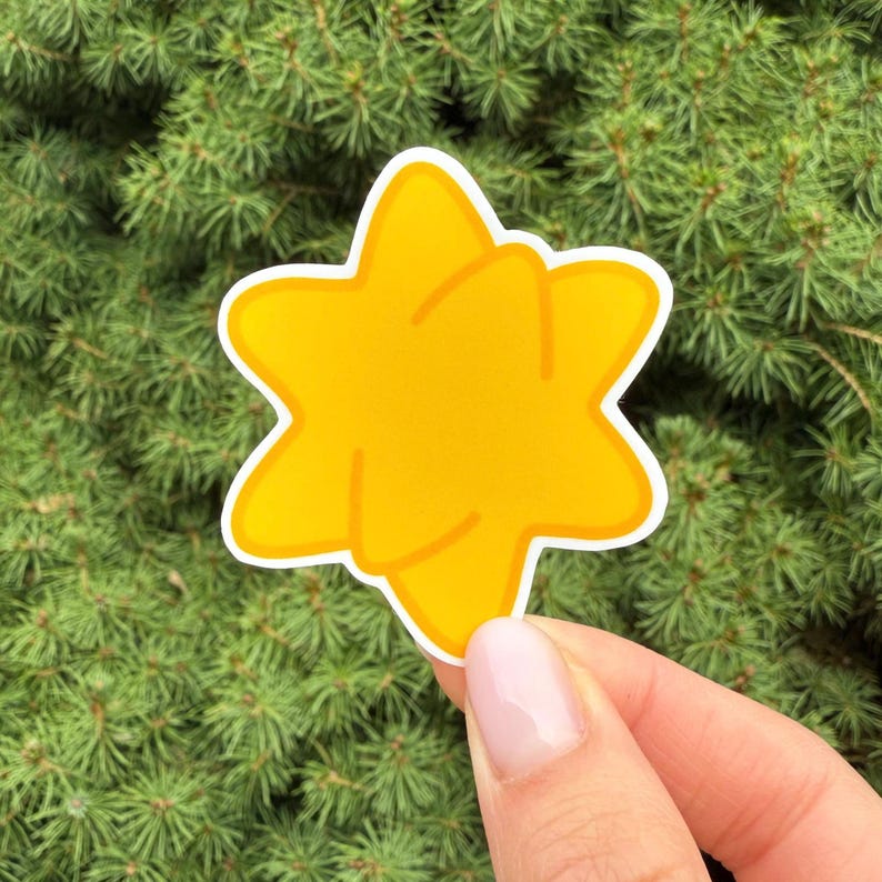 Pu&ograve; includere: Un adesivo giallo a forma di stella con un bordo bianco. L'adesivo ha un design a sei punte ed &egrave; tenuto su uno sfondo di aghi di pino verdi.