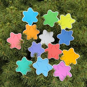 Pu&ograve; includere: Una collezione di adesivi a forma di stella colorati in varie tonalit&agrave; di blu, verde, giallo, arancione, rosa, viola, rosso e bianco. Ogni adesivo ha un contorno bianco ed &egrave; disposto su un letto di aghi di pino verdi.