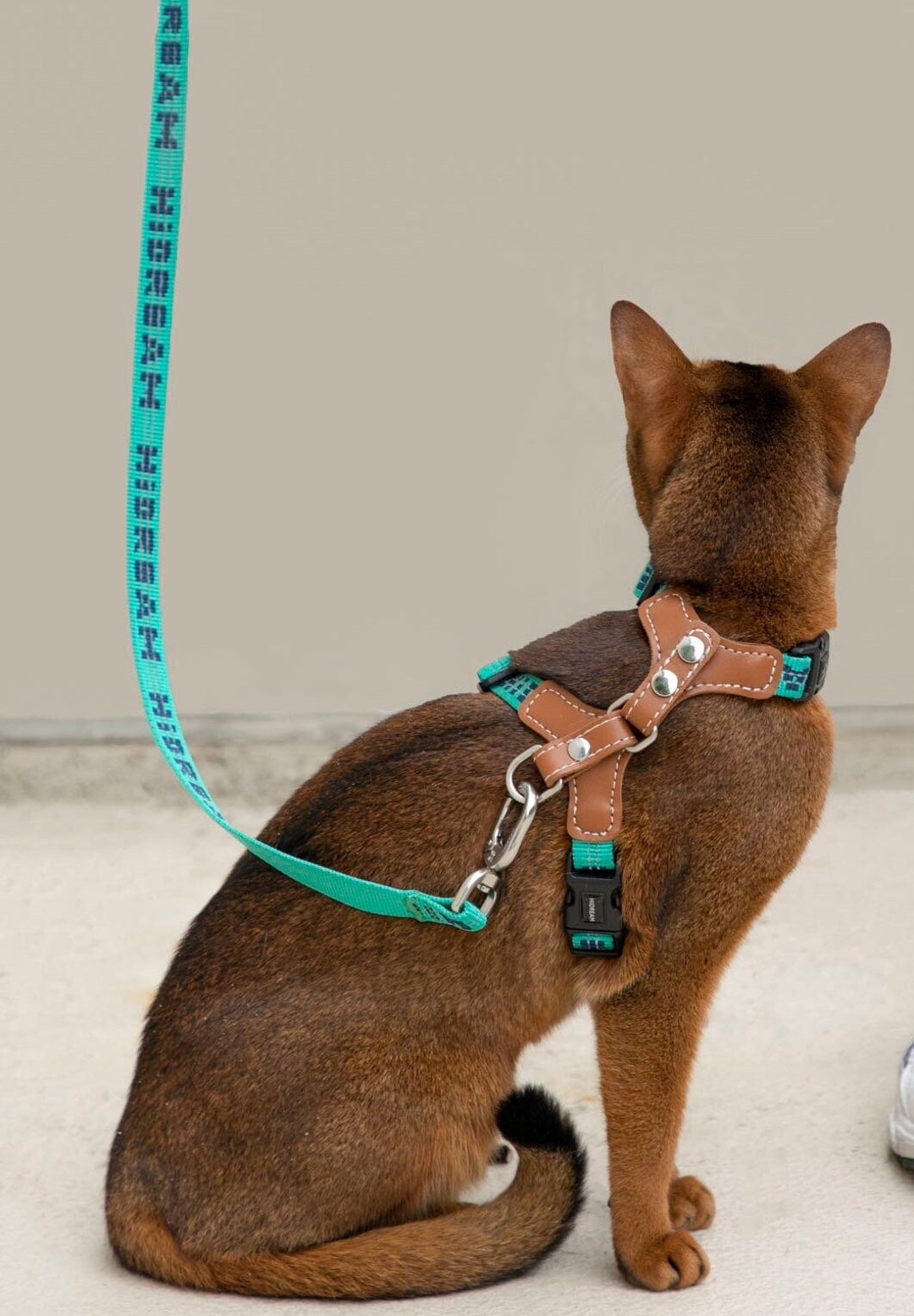 Photo inspiration: Plug Analog Cat Walking Harness Vest Reference: Cat Harness And Leash For Walking Escape Proof Adjustable Vest