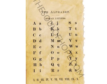 Antique Alphabet Alpha Letters Primer Page Digital Image