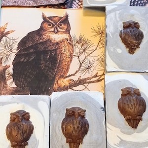 Owl Soap Essential Oil Soap Made With Ecofriendly Colorants