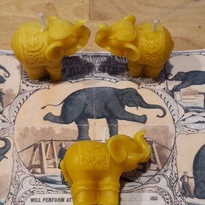 Elephant Organic Beeswax Candle