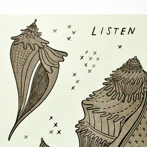 May include: A light green background with the text "LISTEN TO THE OCEAN" in black lettering. The image features several brown seashells with intricate details, scattered across the background.