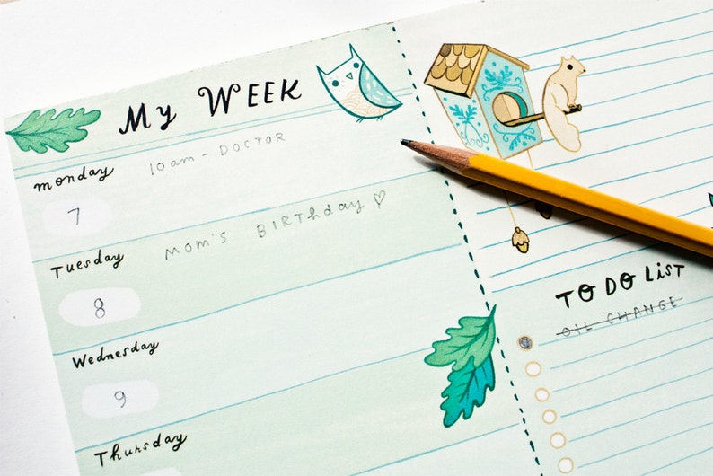 May include: A weekly planner with a green and blue color scheme. The planner has a section for each day of the week, with space for writing appointments and tasks. The planner also has a to-do list section. The planner is decorated with illustrations of an owl, a birdhouse, and a squirrel.