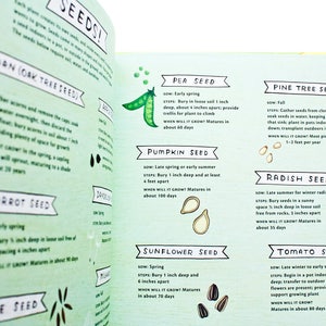 May include: A colorful illustrated guide to planting seeds, featuring various types of seeds, including acorn, pea, pumpkin, sunflower, pine tree, radish, and tomato. The guide includes instructions on when to sow, how deep to bury the seeds, and how far apart to space them.
