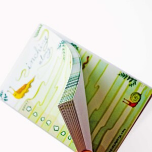 May include: A small, green and white illustrated notebook with the text "sinching along" on the cover. The notebook is open and the pages are fanned out.