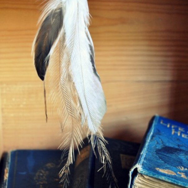 Feather Hair Extension - Australian made - pelican and emu - Ethically Made & Collected