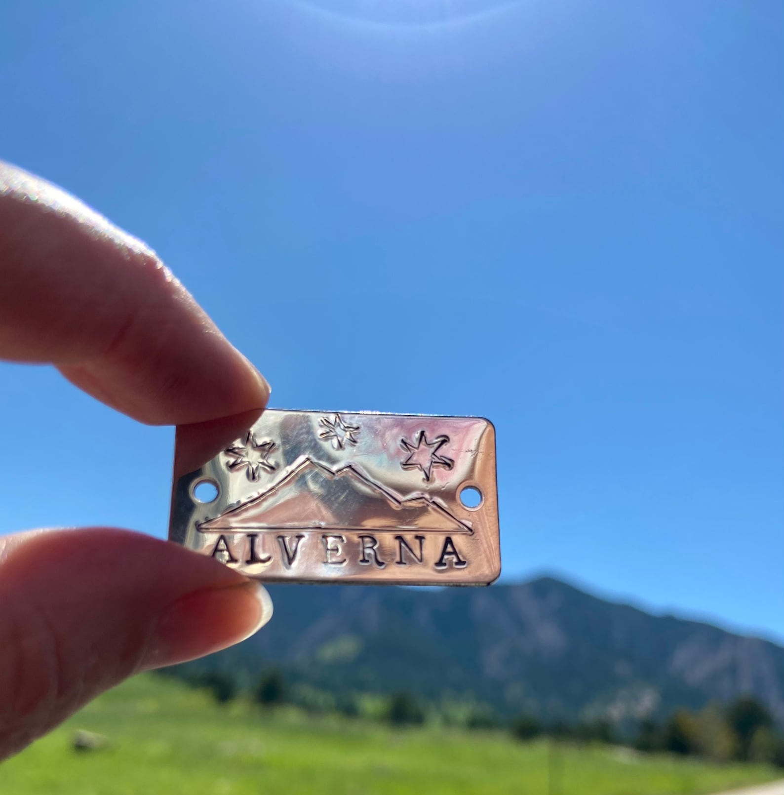 U.s. Navy Hiking Stick Medallion Dollywood Park U.S. Navy Retired Adhesive  Medallion - Coin Swagger Stick