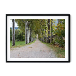 Impresión de arte Madrid, impresión fotográfica Madrid,  fotografía de Madrid, póster de otoño, El Escorial Madrid, impresión de arte otoño