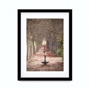 Impresión de arte Madrid, impresión fotográfica de Madrid, fotografía de Madrid, póster de Madrid, Parque El Retiro Madrid, Otoño en Madrid