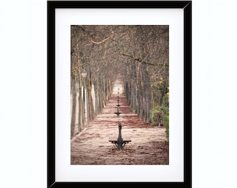 Foto Parque del Retiro Madrid, Lámina Paseo Árboles Otoño, Cuadro Paisaje Naturaleza España, Arte Pared Salón, Descarga Digital Imprimible