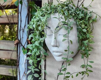 Face Planter Pot Head Planter for Wall Decor Resin Wall Mounted Planters Face Flowers Pots for Indoor Outdoor Plants