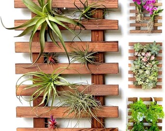 Jardinière murale - Suspension pour plantes succulentes en bois pour l'intérieur et l'extérieur, cadre mural en bois pour jardin vertical 40 cm (15,7 po.)