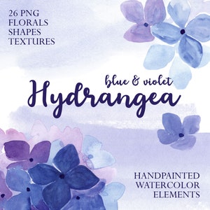 Hortensia bleu png, 26 png d'éléments floraux, Set de clipart floral à l’aquarelle, Fonds bleu violet, Téléchargement numérique instantané