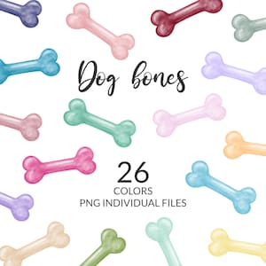 26 Os de chien clipart PNG, Forme d’os de chien, Os de chien à l’aquarelle, graphiques arc-en-ciel et coloré pour amoureux des animaux