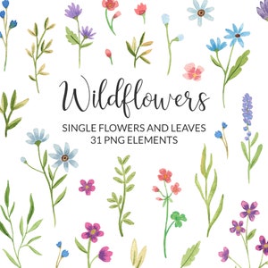 Clipart PNG de fleurs sauvages à l’aquarelle, printemps floral vif et coloré, 31 DIY éléments individuels, téléchargement instantané