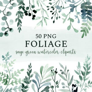 Clipart de verdure, PNG feuilles vertes aquarelle, Feuillage fougères, Décorations pour cartes faire-part de mariage, Éléments individuels