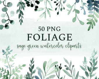 Op de afbeelding: 50 PNG-afbeeldingen met aquarel-clipart van saliegroen gebladerte. De afbeeldingen zijn perfect om een vleugje natuur aan je ontwerpen toe te voegen.