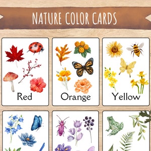 Nature Themed Color Flash Cards, Learn Colors, Montessori Flash Cards, Homeschool Printable, Toddler, Nature Study, Kindergarten Resource