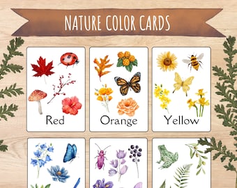 Nature Color Flash Cards, Montessori Homeschool Printable (Digital Download)