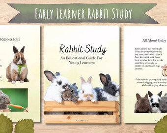 Rabbit Learning Bundle, Homeschool Preschool Study (Digital Download)