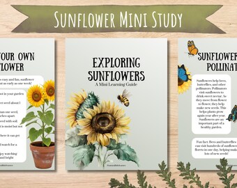 Sunflower Study for kids, printable nature unit, homeschool resource, flower science