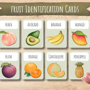 Fruit identification flash cards, Montessori cards, nomenclature, pdf printable, preschool materials, homeschool learning, toddler learning