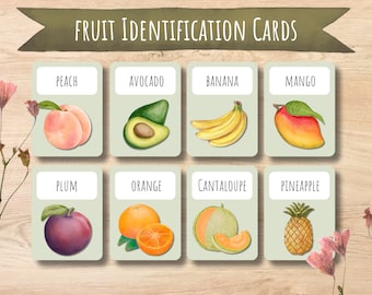 Fruit Flash Cards, Montessori Homeschool Printable (PDF)