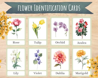 Flower Flash Cards, Botany Study, Montessori Materials (Digital Download)