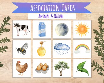 Preschool Matching Activity, What Goes Together, Association Cards, Montessori Toddler Nature and Animal Game