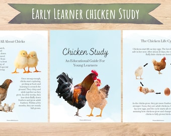Chicken Learning Bundle, Homeschool Preschool Study (Digital Download)